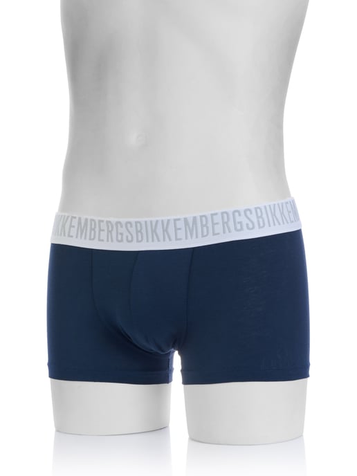 Ropa interior Bikkemberg - Image 3