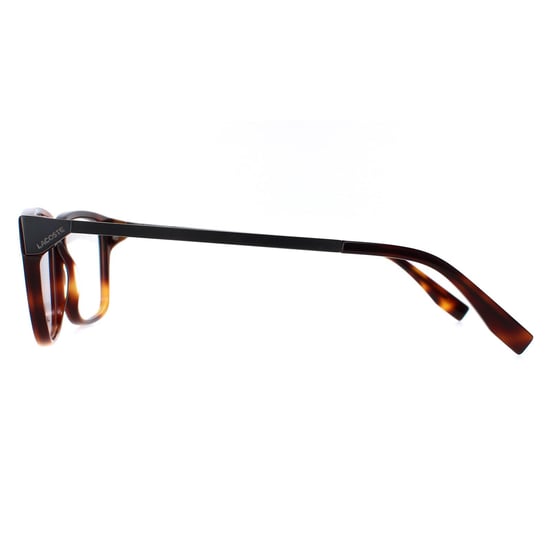 Lacoste Square Mens Havana Glasses