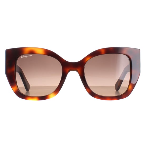 Salvatore Ferragamo Square Womens Classic Tortoise Brown Gradient SF1045S