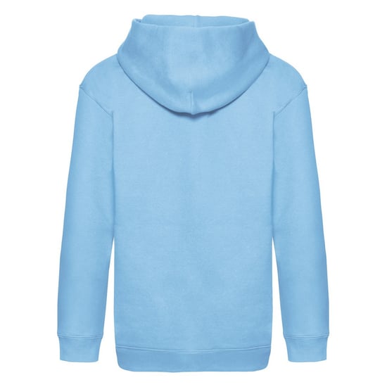 Fruit of the Loom Childrens/Kids Premium Hooded Sweatshirt (Sky Blue) - Image 2