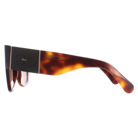 Salvatore Ferragamo Square Womens Classic Tortoise Brown Gradient SF1045S