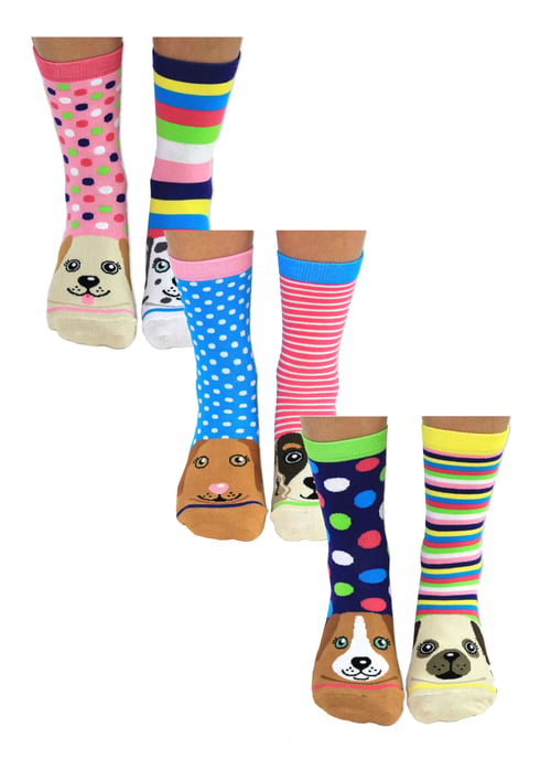 UNITED ODD SOCKS - 6 Pack Ladies Puppy Dog Novelty Cotton Odd Socks in Gift Box - Paws - Image 1