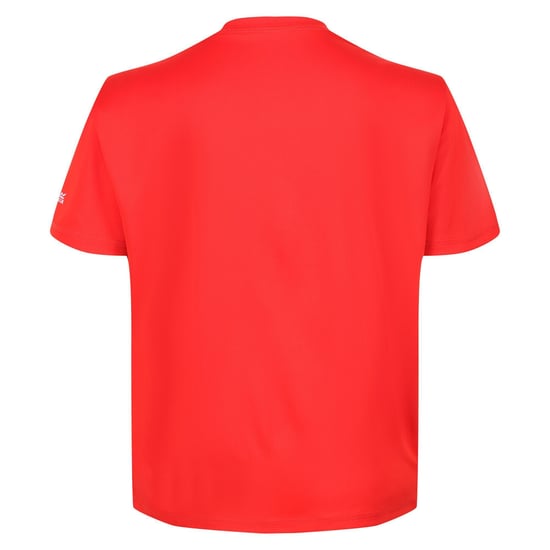 Regatta Childrens/Kids Alvarado VI Mountain T-Shirt (Fiery Red)