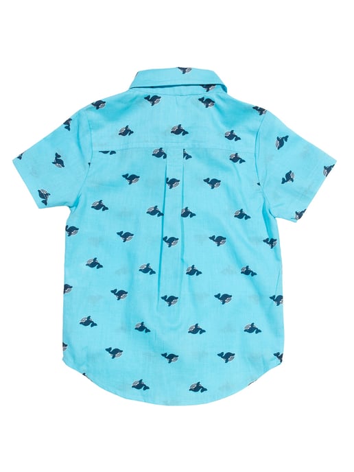 Kite Clothing Wonder Whale Shirt