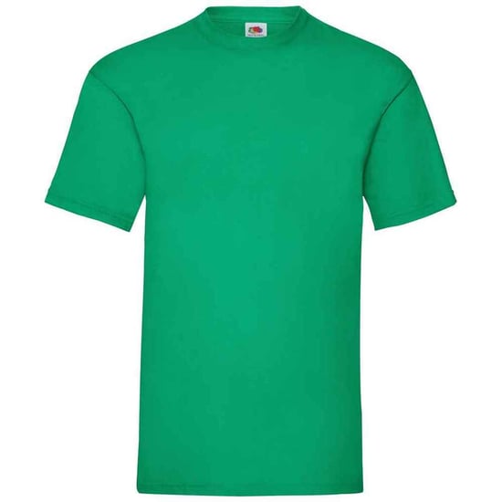 Fruit of the Loom Mens Valueweight T-Shirt (Kelly Green) - Image 1