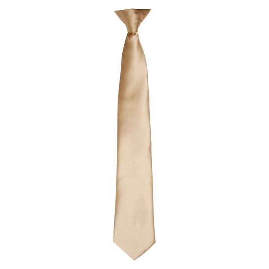 Premier Unisex Adult Satin Tie (Khaki) - Image 1