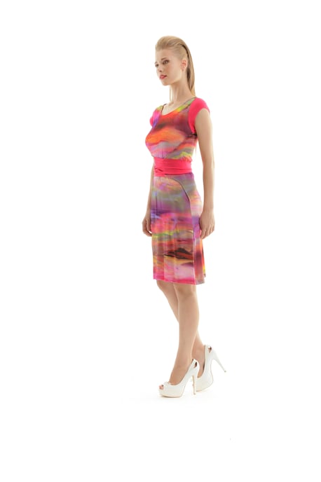 Print Tie Waist Dress