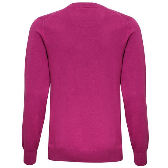 Asquith & Fox Mens Cotton Rich V-Neck Sweater (Orchid Heather)