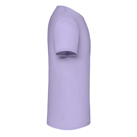 Fruit of the Loom Mens Iconic 150 T-Shirt (Lavender) - Image 3