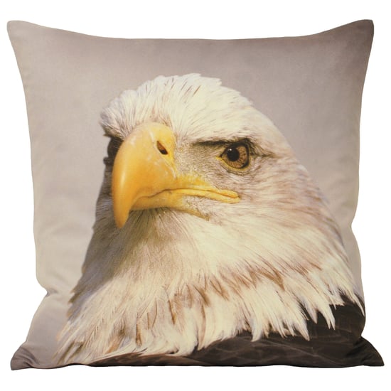 Cojín de Poliéster Animal Águila 45X45 - Image 1