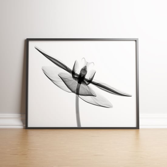 Orchid Flower Aquarelle XRay B - Black frame