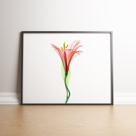Delicate Flower Aquarelle E Colour - Black frame