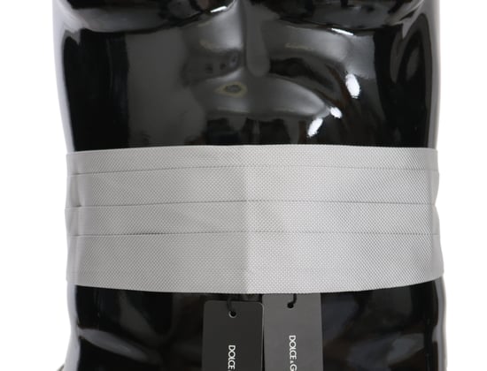 Cinturón para hombres Dolce & Gabbana gris en 100% seda - Image 1