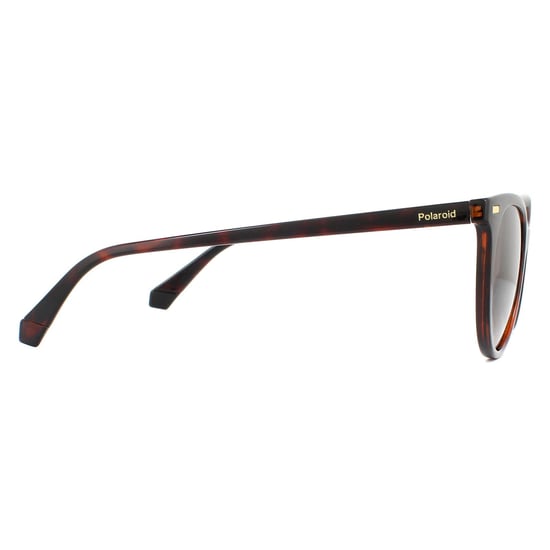 Polaroid Cat Eye Womens Havana Brown Gradient Polarized Sunglasses