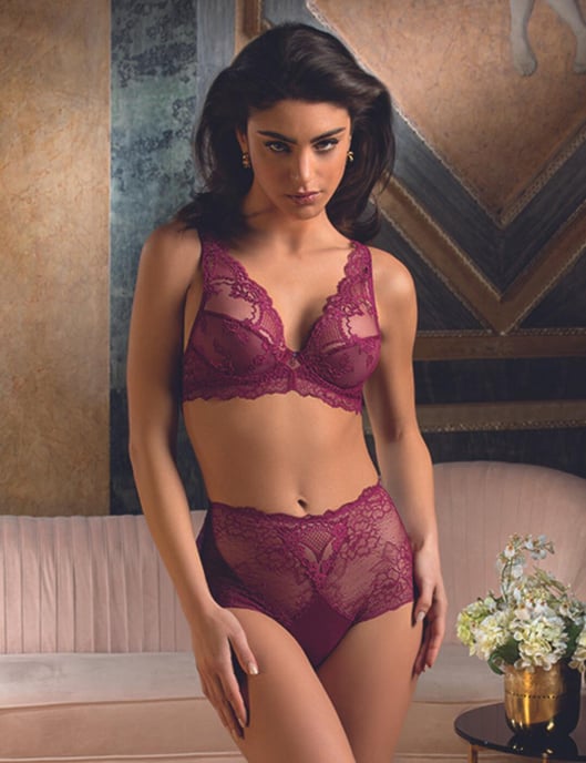 Lise Charmel Sublime En Dentelle Push Up Bra