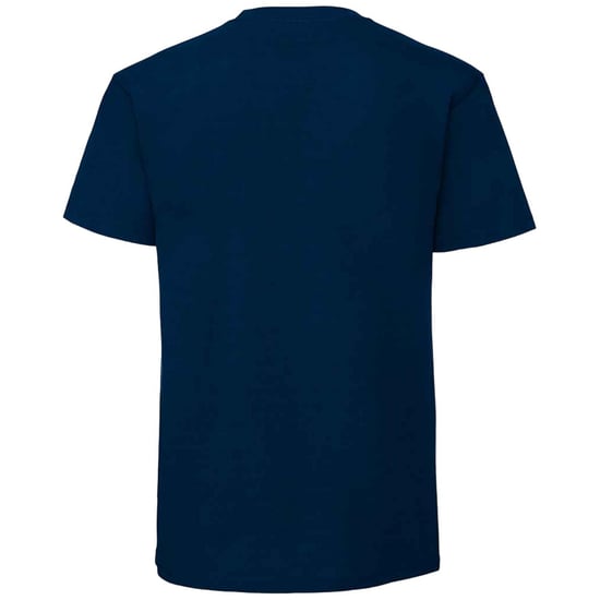 Fruit Of The Loom Mens Iconic 195 Ringspun Premium Tshirt (Mountain Blue) - Image 2
