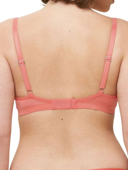Aura Spotlight Bra