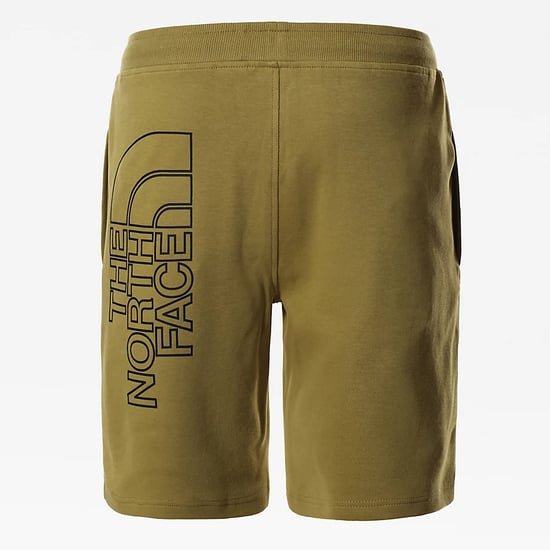 The North Face Men’s Graphic Light Shorts Green Moss