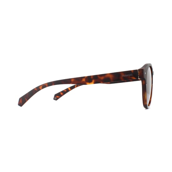 Gafas de sol Polaroid 6042/S 086 SP Bronce Oscuro Havana Polarizado - Image 4
