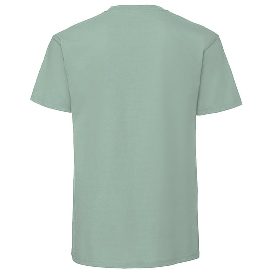 Fruit Of The Loom Mens Ringspun Premium T-Shirt (Sage) - Image 2