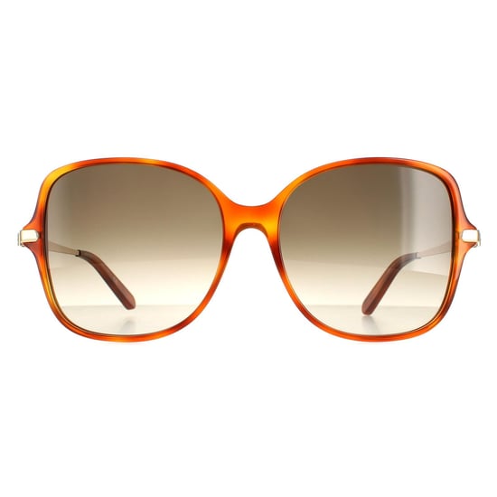 Salvatore Ferragamo gafas de sol SF990SR 214 Tortoise gris degradado - Image 1