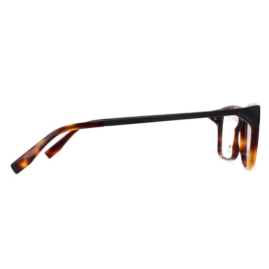 Lacoste Square Mens Havana Glasses