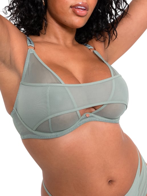 Peep Show Deep Plunge Bra - Image 1