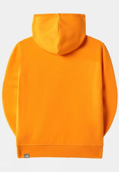 Sudadera con capucha The North Face Kids Drew Peak Overhead en naranja - Image 6