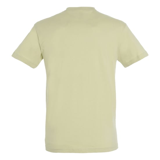 SOLS Unisex Adult Regent T-Shirt (Sage Green) - Image 2