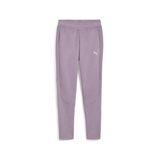 PUMA Womens EVOSTRIPE Pants