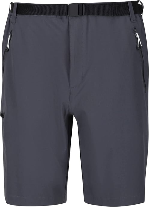 Regatta Mens Xert III Stretch Shorts - Image 1