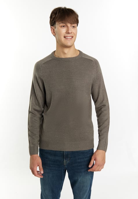 Mo Pullover Men light grey melange