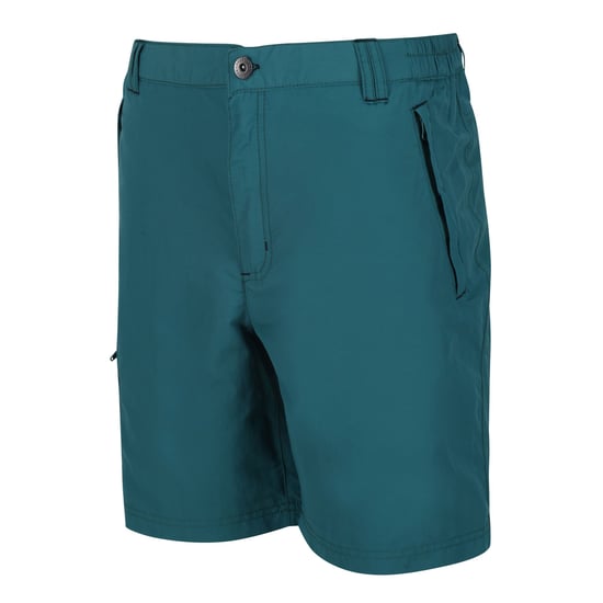 Regatta Mens Leesville II Walking Shorts (Pacific Green) - Image 4