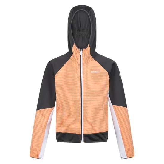 Regatta Childrens/Kids Prenton II Hooded Soft Shell Jacket (Apricot Crush/Seal Grey)
