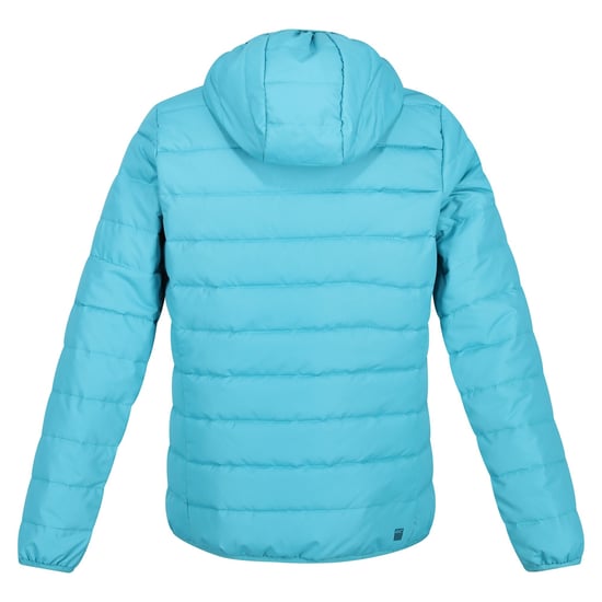 Regatta Womens/Ladies Helfa Jacket (Pagoda Blue) - Image 2