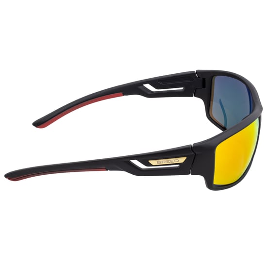 Breed Aquarius Polarized Sunglasses