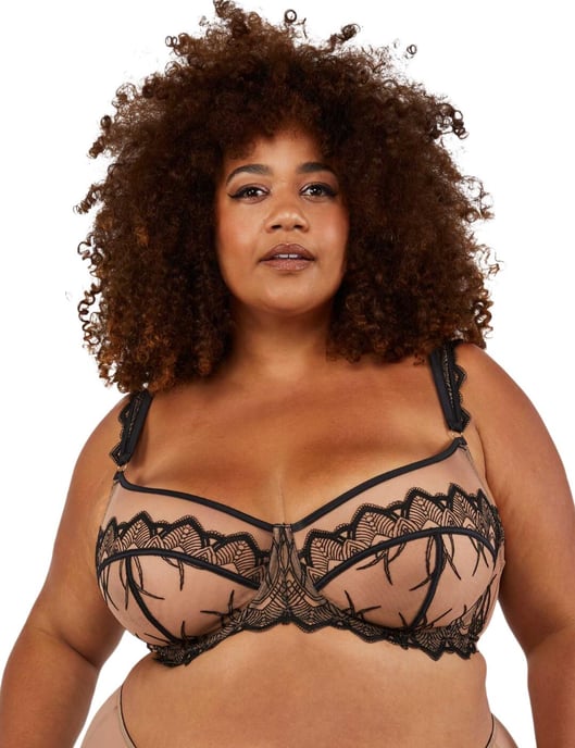 Playful Promises Clara Bra and Harness