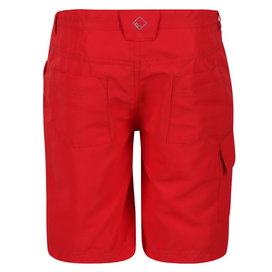 Regatta Childrens/Kids Sorcer II Shorts