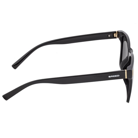 Breed Pictor Polarized Sunglasses