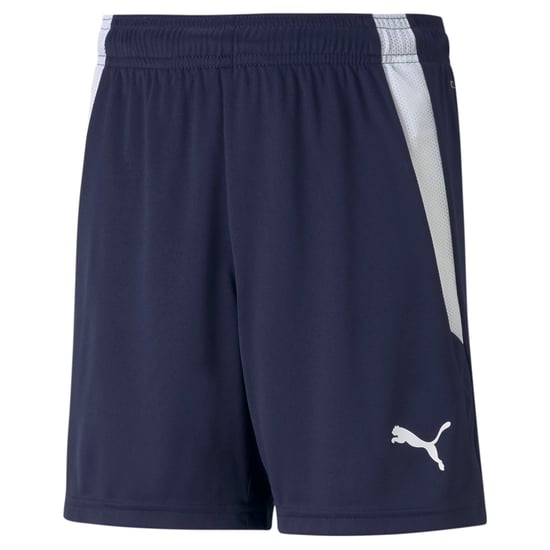 PUMA teamLIGA Youth Football Shorts