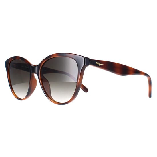 Salvatore Ferragamo Cat Eye Womens Tortoise Grey Gradient SF1073S