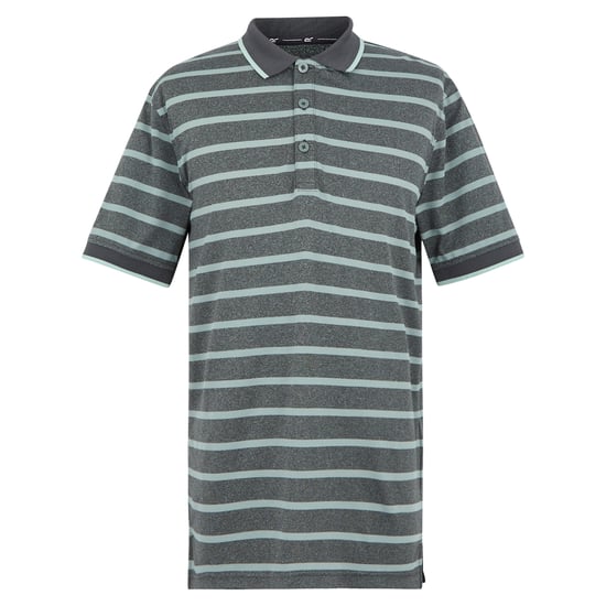 Regatta Mens Kildra Polo Shirt (Glacier) - Image 1
