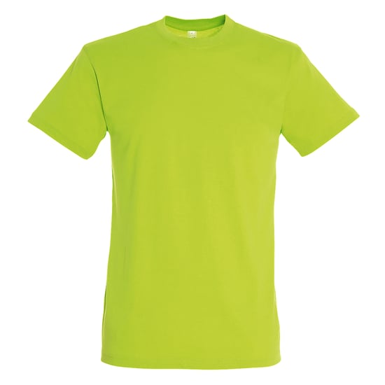 SOLS Mens Regent Short Sleeve T-Shirt (Apple Green) - Image 1