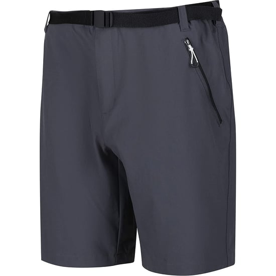 Regatta Mens Xert III Stretch Shorts - Image 3