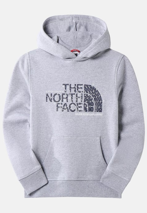 Sudadera con capucha The North Face Kids Drew Peak Overhead en gris - Image 4