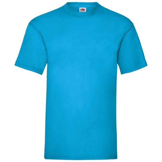 Fruit Of The Loom Mens Valueweight T-Shirt (Azure) - Image 1