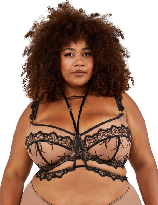 Playful Promises Clara Bra and Harness