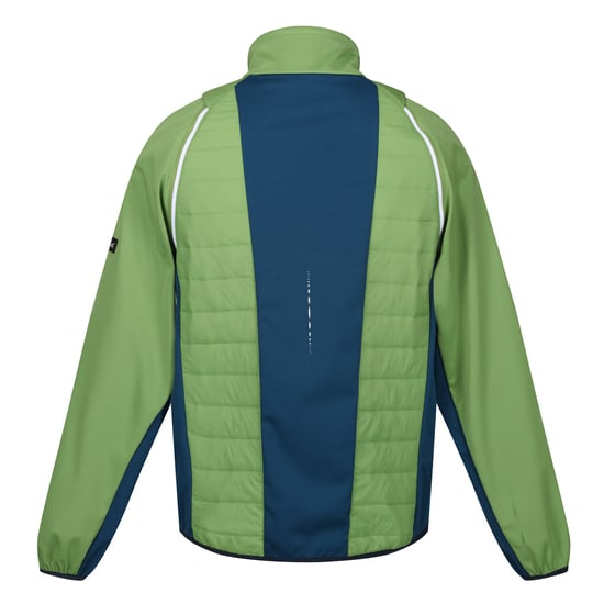 Regatta Mens Steren II Softshell Hybrid Jacket (Piquant Green/Moroccan Blue/Citron Lime)