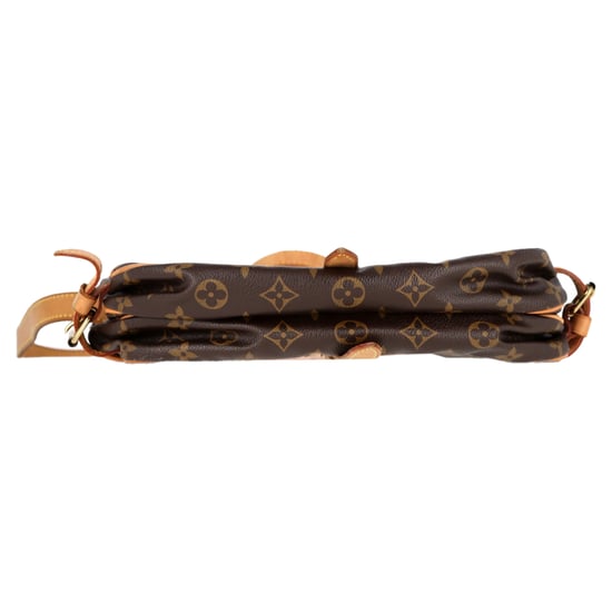 Louis Vuitton Saumur 30 Monogram Shoulder Bag in Brown Coated Canvas