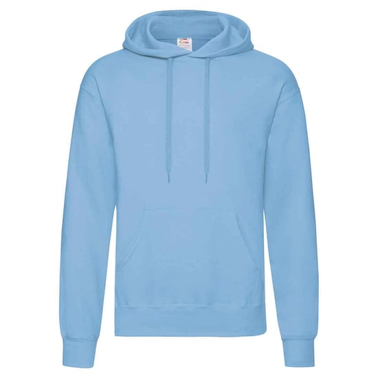 Fruit of the Loom Unisex Adult Classic Hoodie (Sky Blue) - Image 1